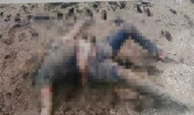 <p>भोगावती नदीपात्रात अनोळखी पुरुषाचा मृतदेह; करवीर पोलिसांकडून ओळख पटविण्याचं आवाहन</p>
