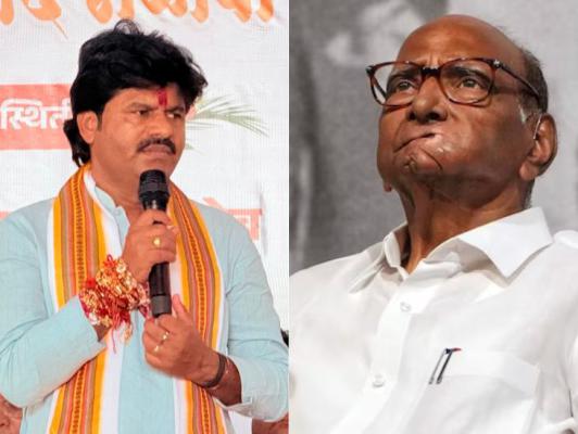 <p>शरद पवार पुन्हा कोठून निवडून येणार आणि कसे निवडून येणार...: आ. गोपीचंद पडळकर </p>
