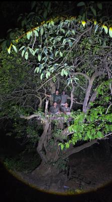 <p>सह्याद्री व्याघ्र राखीव, चांदोली राष्ट्रीय उद्यानात &lsquo;निसर्गानुभव&rsquo; कार्यक्रम उत्साहात; वन्यजीवांचे दर्शन, २५ निसर्गप्रेमींचा सहभाग</p>
