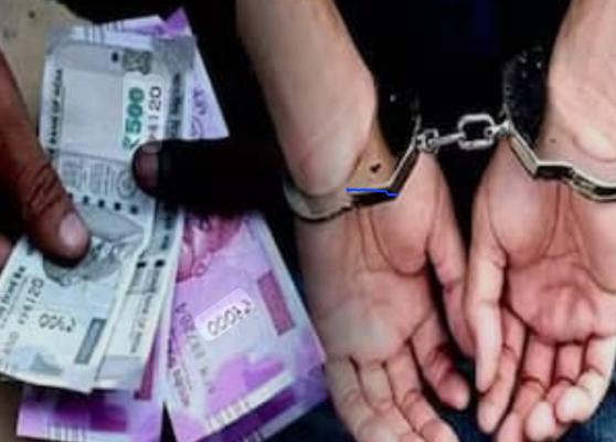 <p>'थकीत पगार काढून देतो, पण २५ हजार द्या'; महापालिकेचा प्रशासन अधिकारी अँटी करप्शन च्या जाळ्यात</p>
