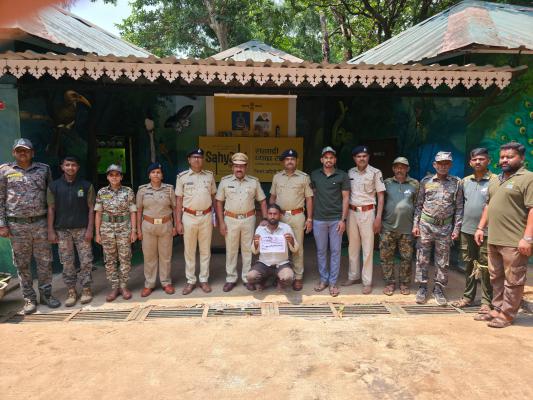<p>आंबा वनपरिक्षेत्रातील ट्रॅप कॅमेरा चोरट्याला अटक...</p>

