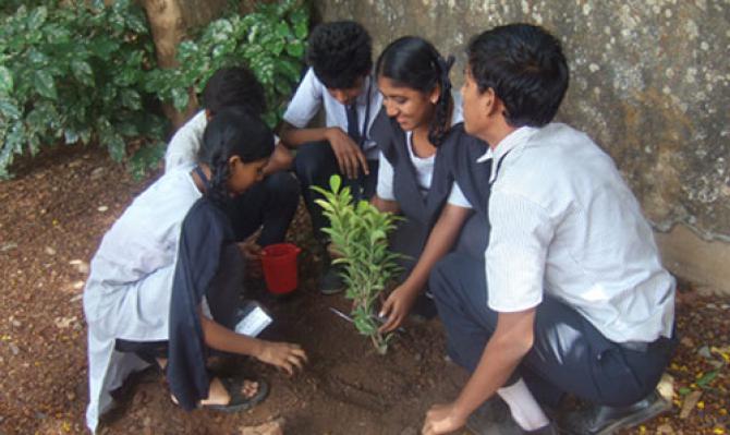 <p>नव्या शैक्षणिक वर्षात राज्यातील प्रत्येक शाळांना लावावी लागणार झाडे ; केंद्राचा आदेश&nbsp;</p>
