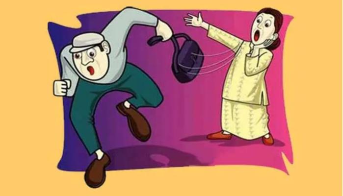 <p>बसमध्ये चढताना सोन्याचे दागिने असलेली महिलेची पर्स लंपास</p>
