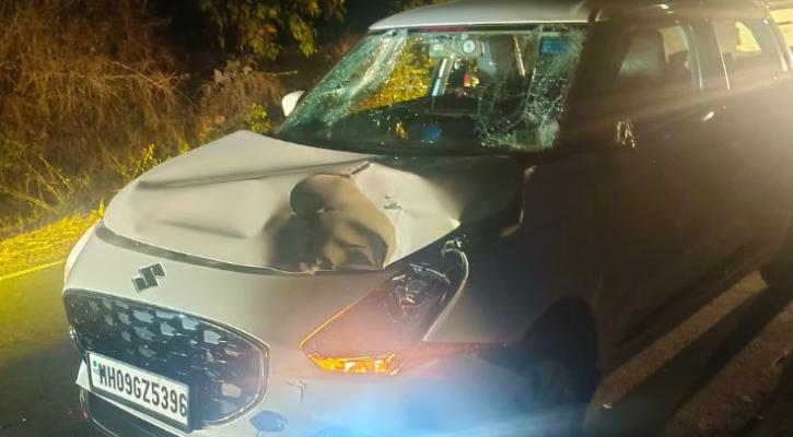 <p>धावत्या कारवर गव्याने घेतली उडी अन् थरकाप उडाला...&nbsp;</p>
