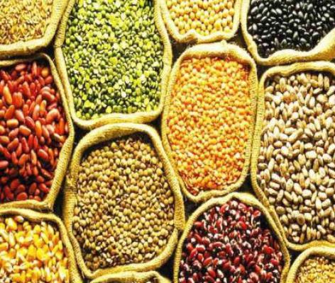 <p>कोल्हापूरात &lsquo;या&rsquo; दिवसापासून रंगणार जिल्हास्तरीय धान्य महोत्सव</p>
