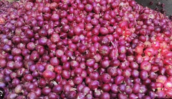 <p>कांद्याच्या दरात मोठी घसरण...</p>
