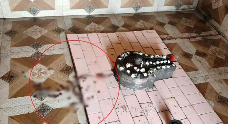 <p>नानीबाई चिखलीत अजब प्रकार : महादेवाच्या पिंडीवर रक्ताचा अभिषेक</p>
