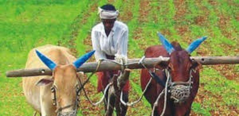 <p>पी.एम. किसान योजनेतील त्रुटी पूर्तता पंधरवडा मोहिमेचे आयोजन</p>
