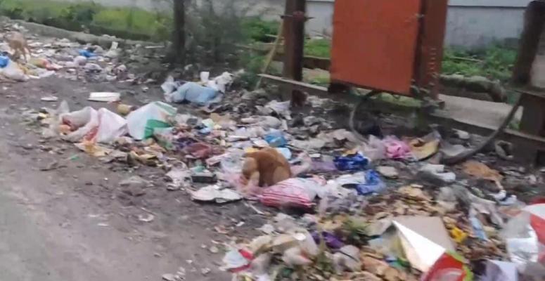 <p>इचलकरंजीत पगार रखडल्याने घंटागाडी बंद ; चौकाचौकात कचऱ्याचे ढीग, नागरिक त्रस्त</p>
