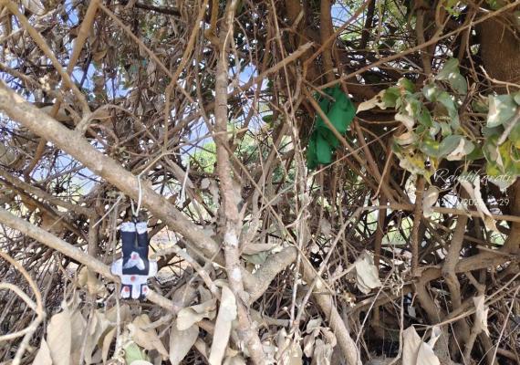 <p>चांदेकरवाडी वादग्रस्त पाणंद रस्ता आणि भानामती...</p>
