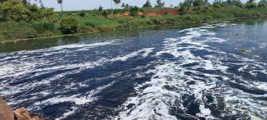 <p>पंचगंगा नदी पुन्हा प्रदूषित...तेरवाडजवळ नदीचे पाणी काळपट आणि फेसाळलेले...</p>
