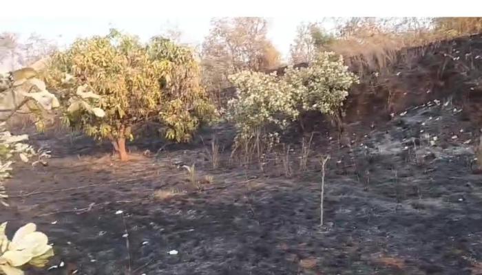 <p>भैरीबांबरमध्ये भीषण आग...&nbsp;</p>
