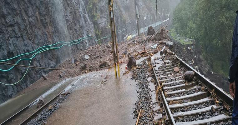 <p>दरडी कोसळल्याने मध्य रेल्वेची वाहतूक विस्कळीत ; 17 गाड्या रद्द...</p>
